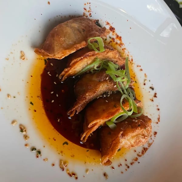 Fried dumplings with green onions and sesame seeds in a dark sauce on a white plate.